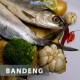 BANDENG