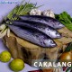 Cakalang