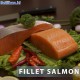 Salmon Fillet