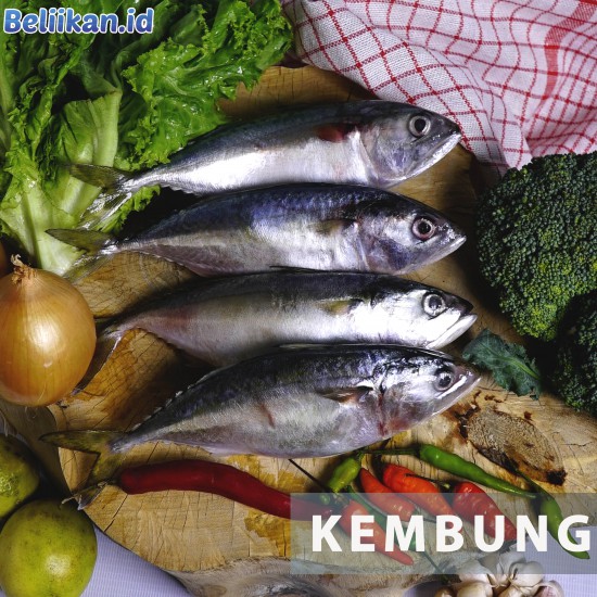 Kembung