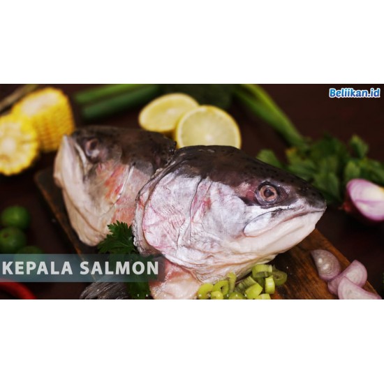 Kepala Salmon