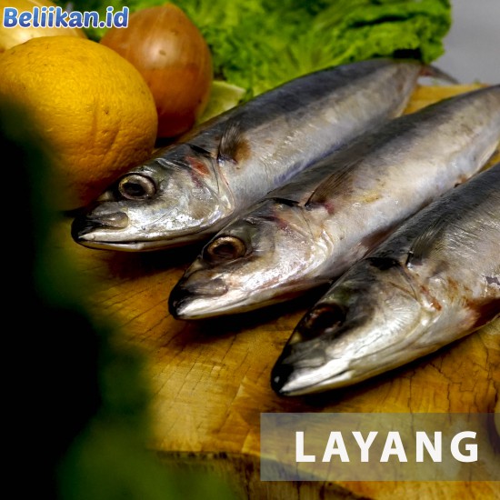 Layang