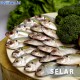 Ikan Selar