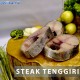 Tuna Tetelan