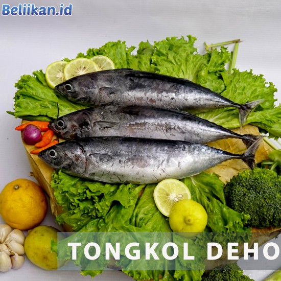 Tongkol Deho