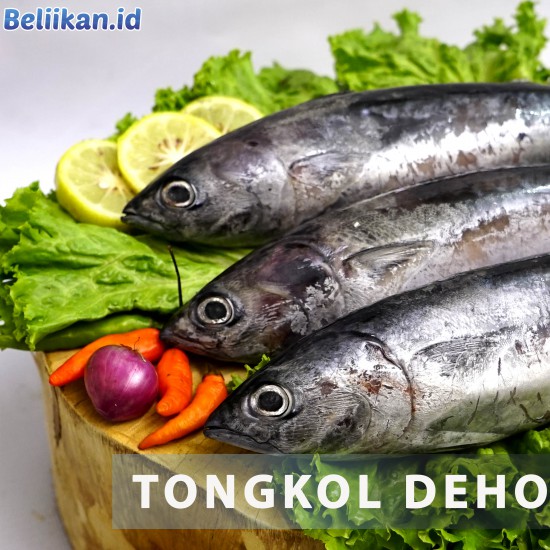 Tongkol Deho