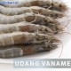 Udang Vaname