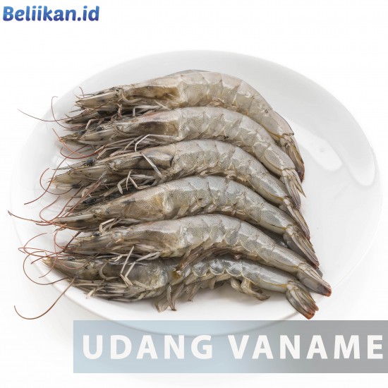 Udang Vaname