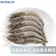 Udang Vaname