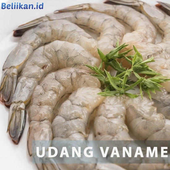 Udang Vaname